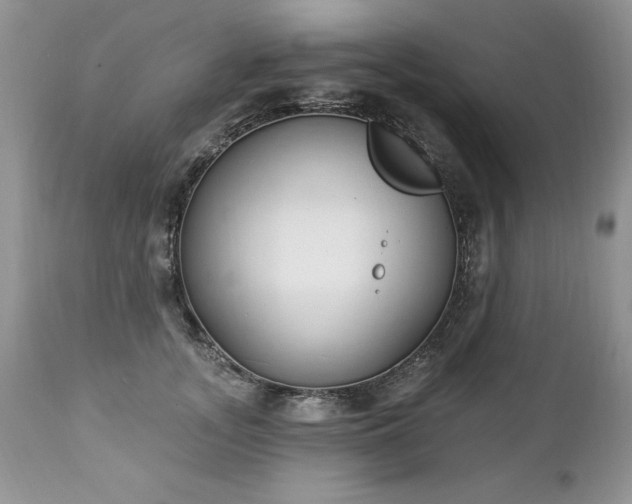 X0000112840755200908211241