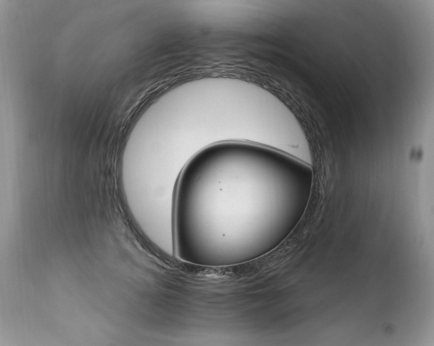 X0000112840756200908211241