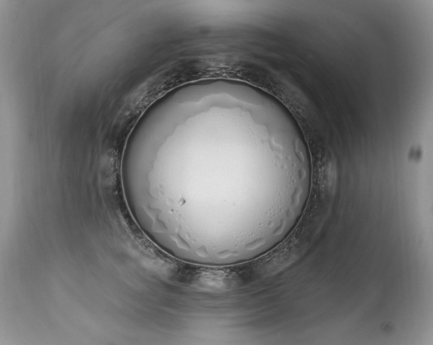 X0000112840757200908211241