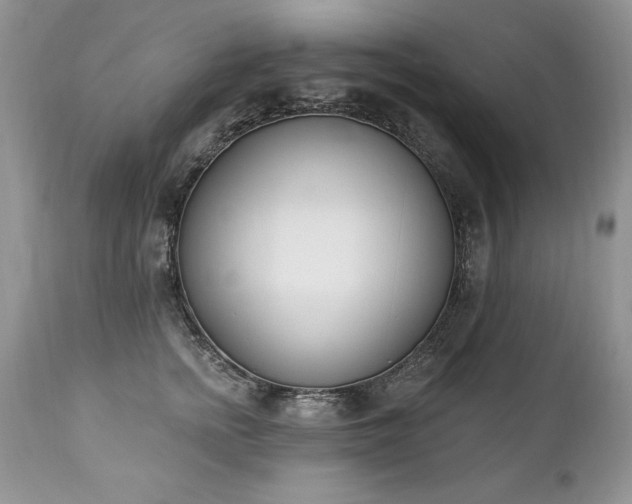 X0000112840758200908211241