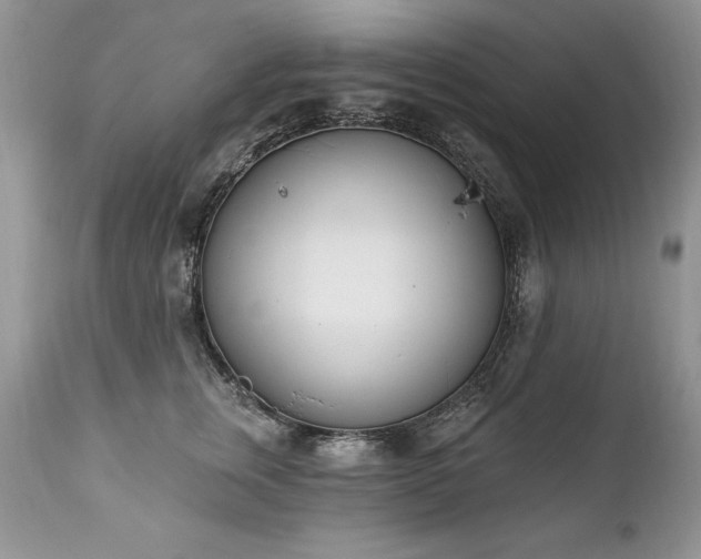 X0000112840759200908211241