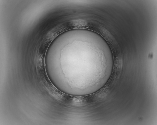 X0000112840761200908211241