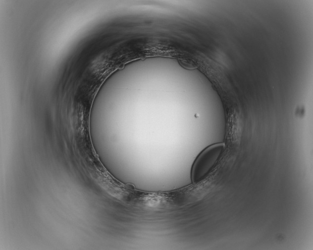 X0000112840762200908211241