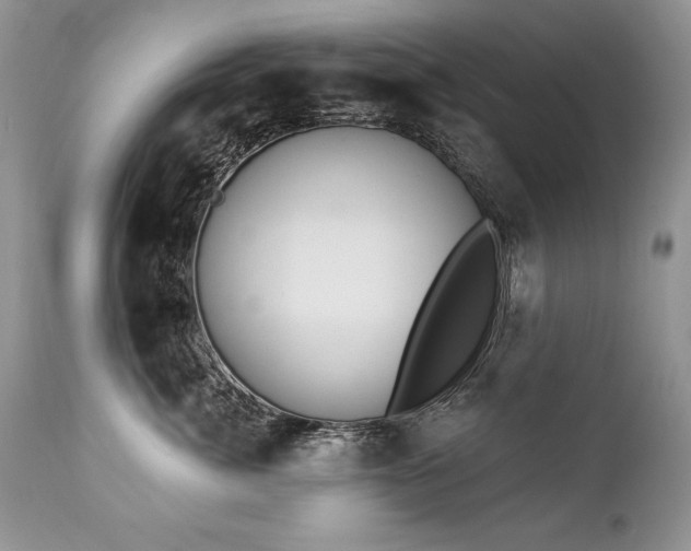 X0000112840764200908211241