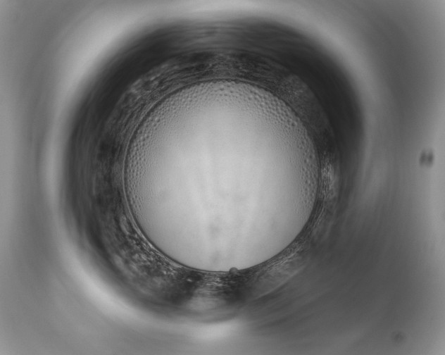 X0000112840765200908211241