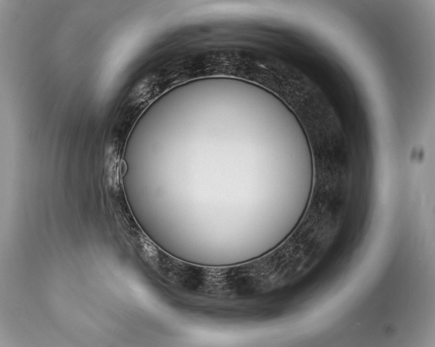 X0000112840766200908211241