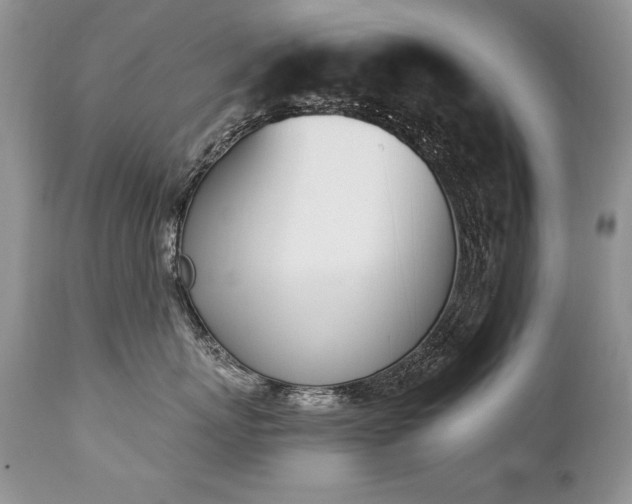 X0000112840767200908211241