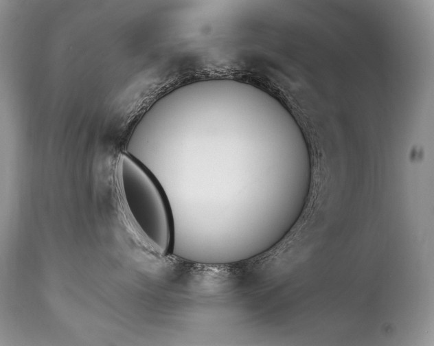 X0000112840768200908211241