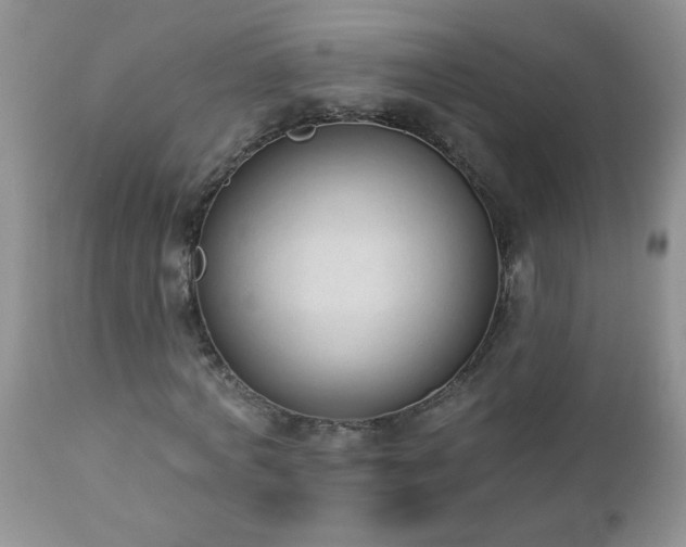 X0000112840772200908211240