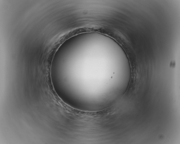 X0000112840773200908211240