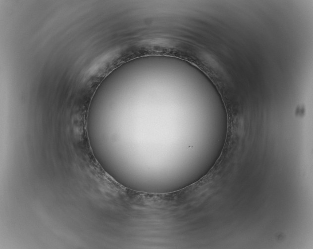 X0000112840774200908211240