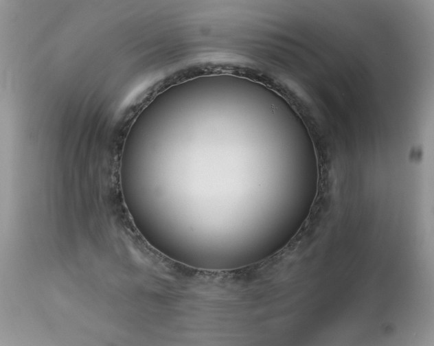 X0000112840775200908211240