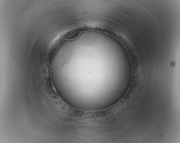 X0000112840776200908211240