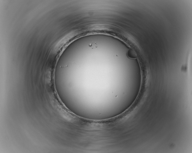 X0000112840777200908211240