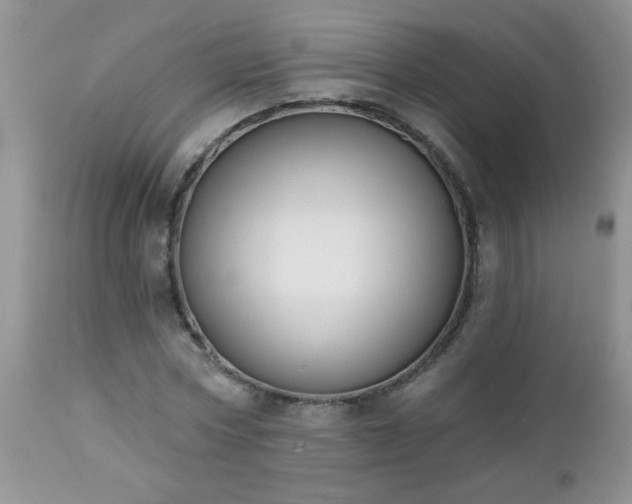 X0000112840778200908211240