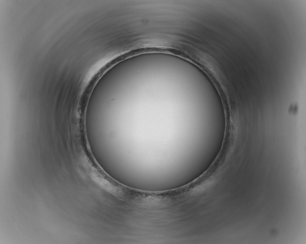 X0000112840779200908211240