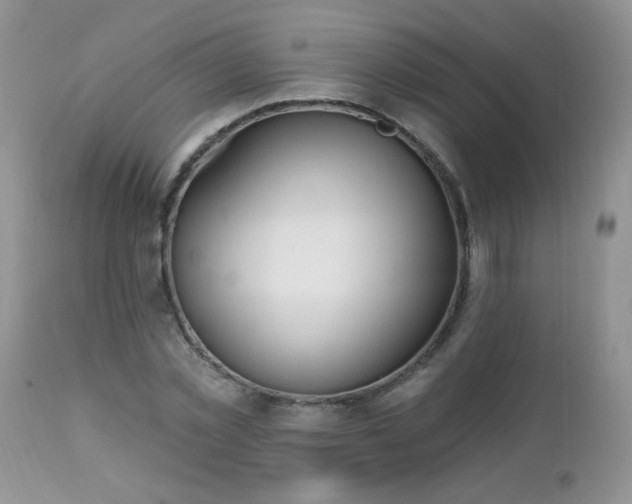 X0000112840781200908211240