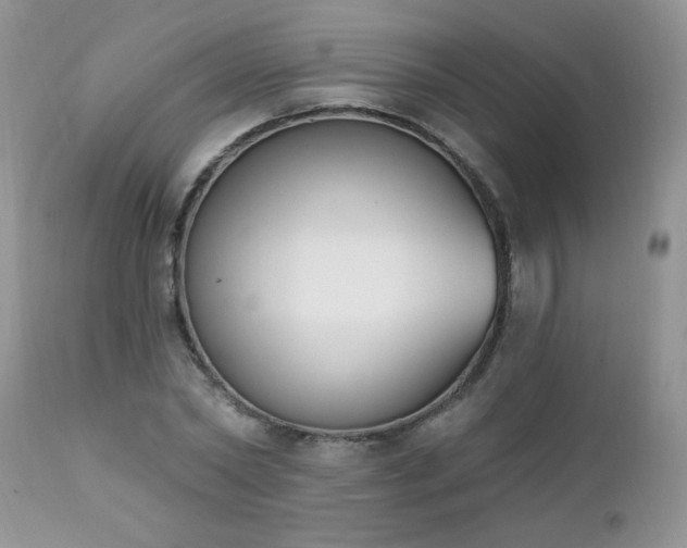 X0000112840782200908211240