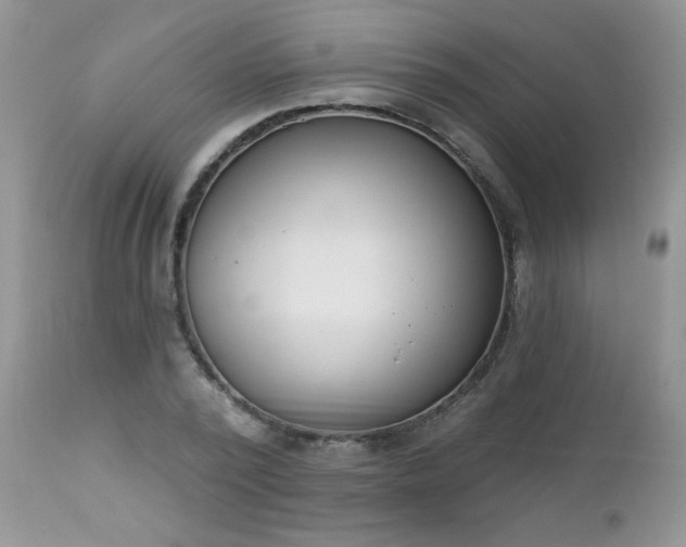 X0000112840784200908211240