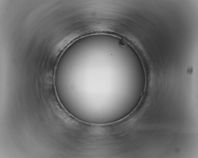 X0000112840785200908211240