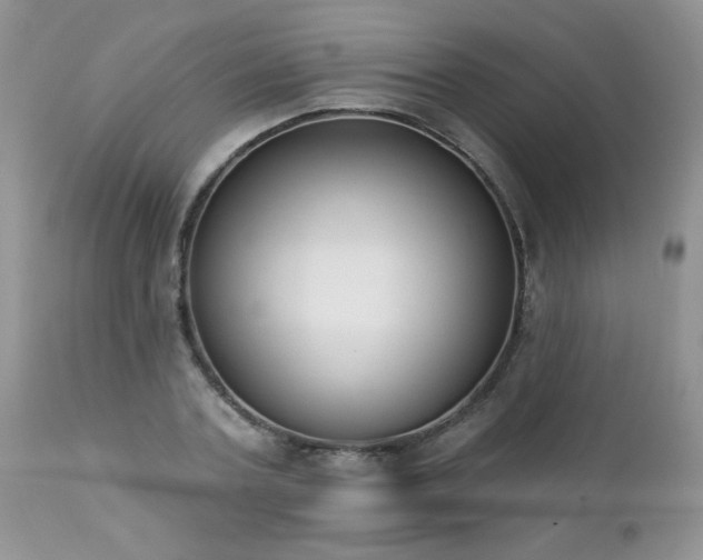 X0000112840787200908211240