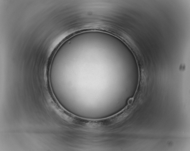 X0000112840788200908211240