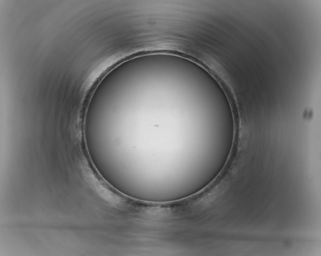 X0000112840789200908211240