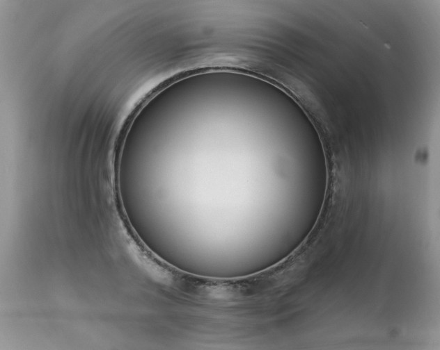 X0000112840792200908211240