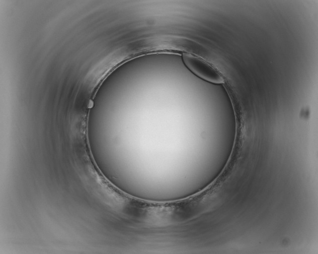 X0000112840793200908211240