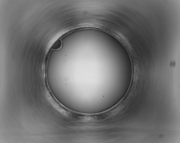 X0000112840796200908211240