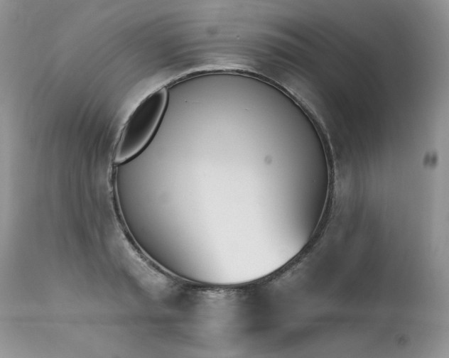 X0000112840797200908211240