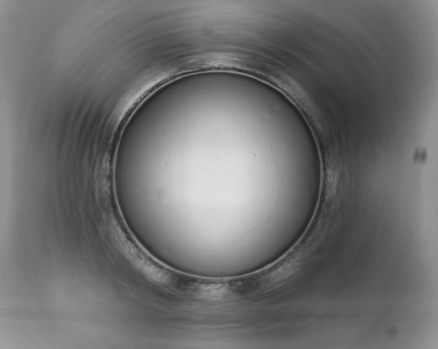 X0000112840798200908211240