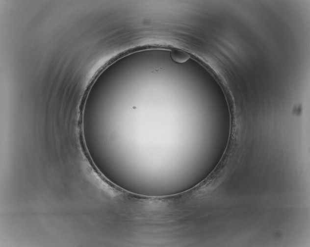 X0000112840799200908211240