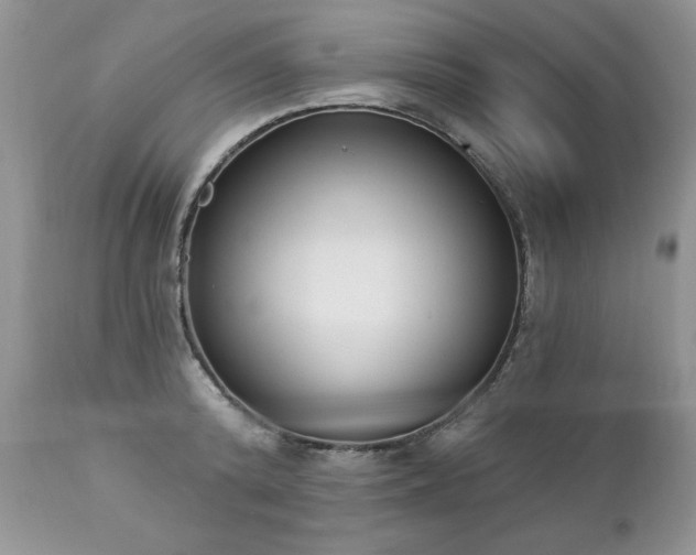 X0000112840800200908211240