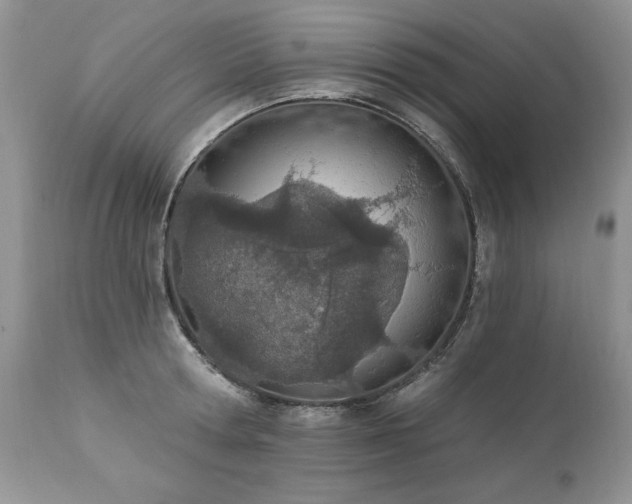 X0000112840802200908211240