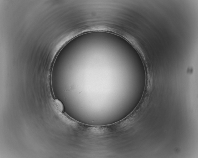 X0000112840805200908211240