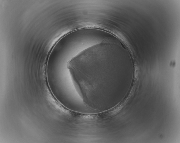 X0000112840806200908211240