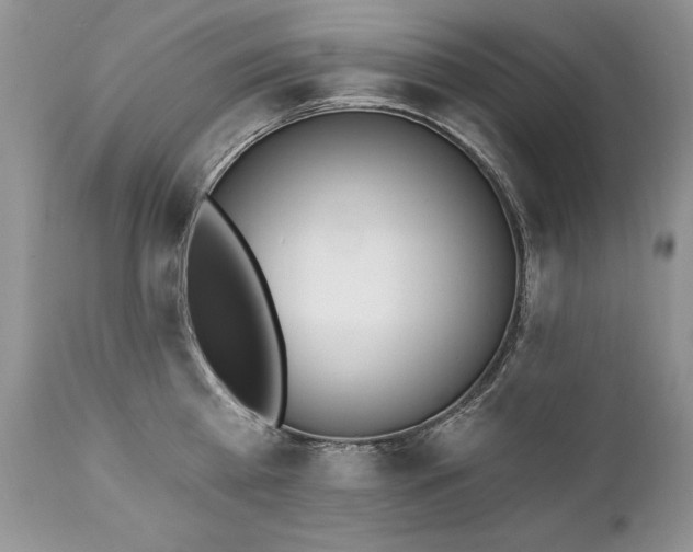 X0000112840809200908211240