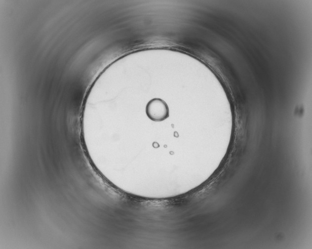 X0000112840810200908211240