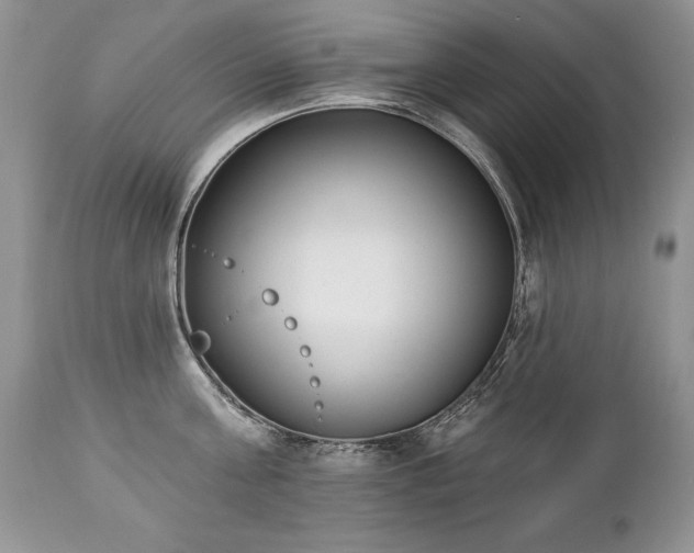 X0000112840811200908211240