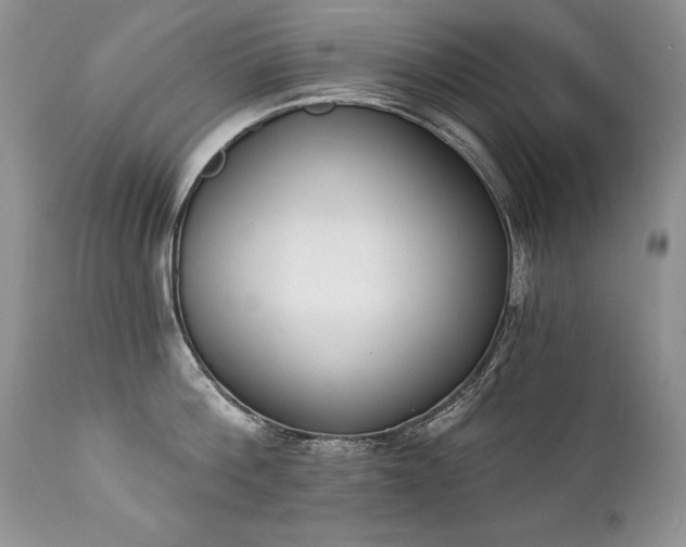 X0000112840812200908211240