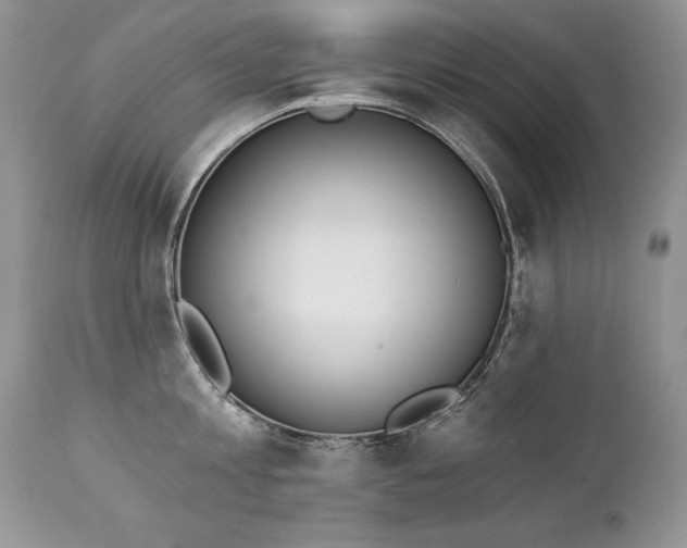 X0000112840813200908211240