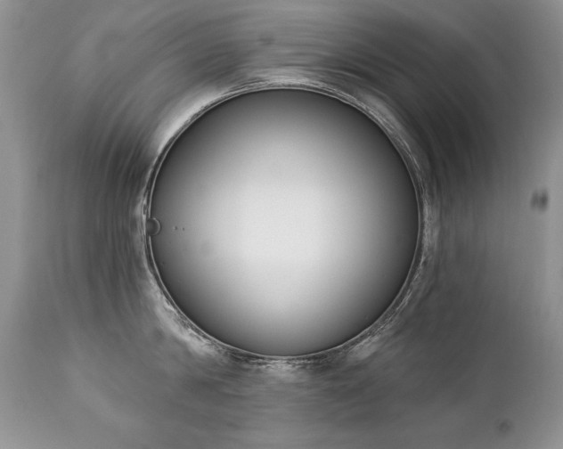 X0000112840814200908211240