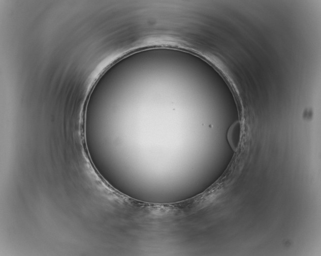 X0000112840815200908211240