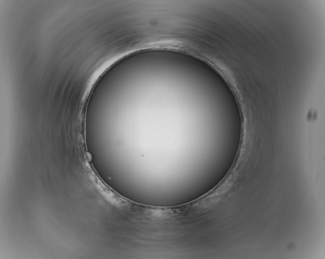 X0000112840816200908211240