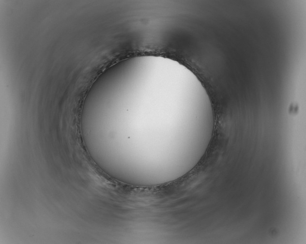 X0000112840817200908211239