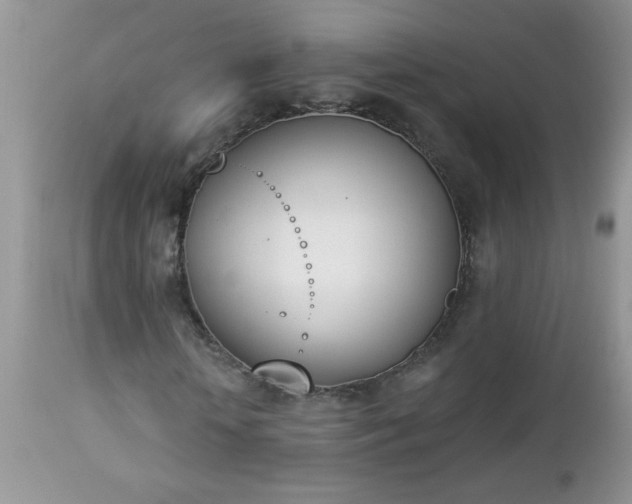 X0000112840818200908211239