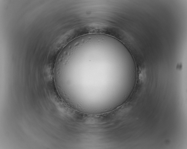 X0000112840819200908211239