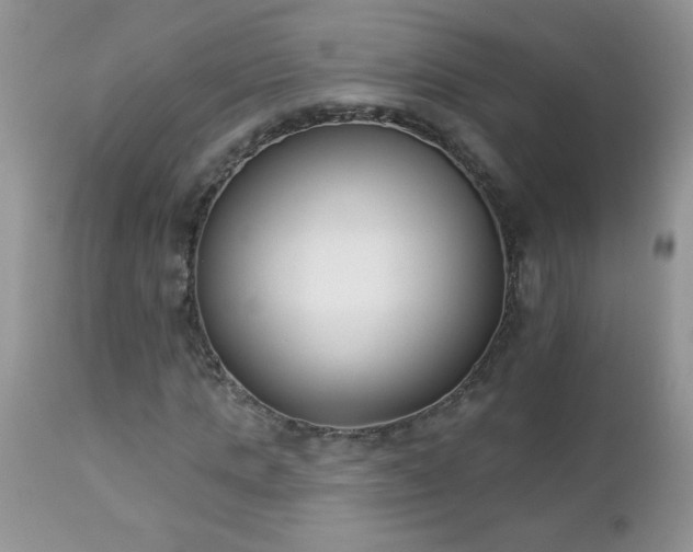 X0000112840821200908211239