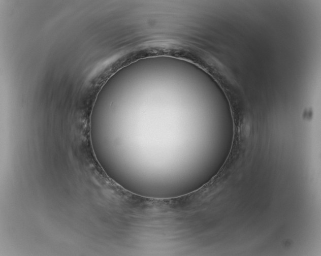 X0000112840822200908211239